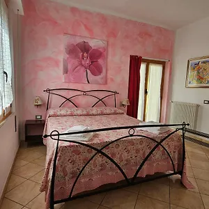 https://bb-il-giardino-in-citta-la-spezia.hotelitalianriviera.com